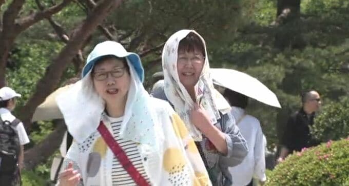石川県内各地で夏日 金沢で26度越え 輪島では今年最高の27.5度　|　石川県のニュース｜MRO北陸放送
