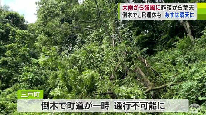 「大雨」や「暴風」荒れた天気となった青森県…　三戸町では町道に倒木の被害も　雨・風の峠は越えるも津軽の海上では高波に注意を　|　青森のニュース│ATV NEWS│青森テレビ