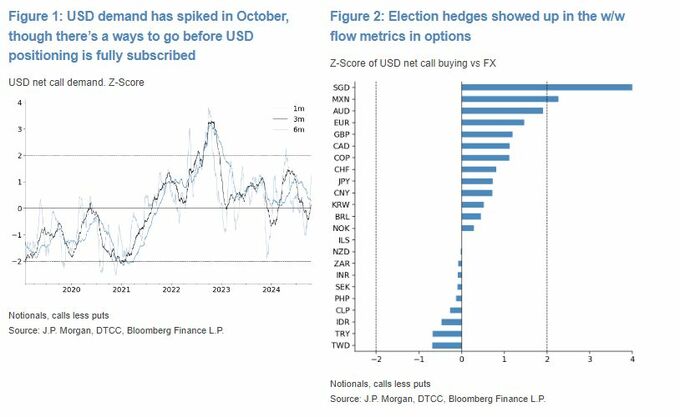 米大統領選近づきドル需要急増、強気続く見通し－ＪＰモルガン
