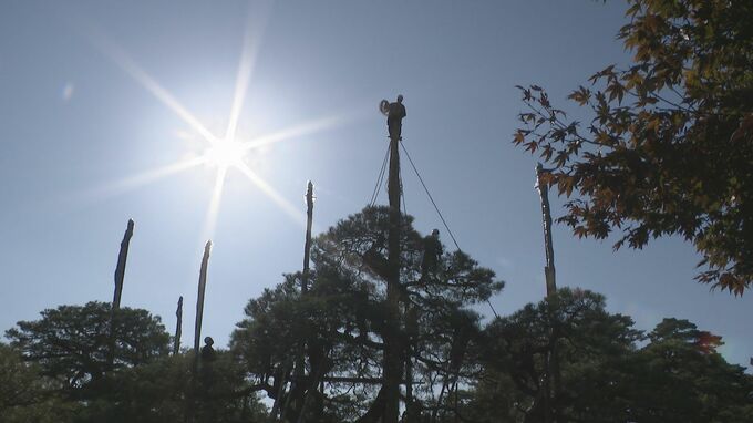 北陸の冬の風物詩 日本三名園のひとつ兼六園の雪吊り作業始まる　|　石川県のニュース｜MRO北陸放送