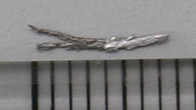 給食のおかず「レバーと大豆のごまがらめ」に金属片混入 長さ約8ミリ 食べる前に気付いてけが無し 愛知・豊田市の小学校|TBS NEWS DIG