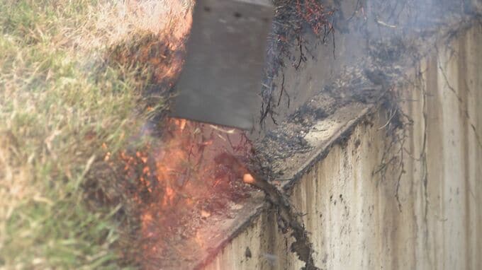 繁殖防ぐため緊急駆除作業　公園に毒を持つ雌の成体13匹　特定外来生物セアカゴケグモ　山口・岩国　|　山口のニュース・天気・防災｜tys NEWS｜ｔｙｓテレビ山口