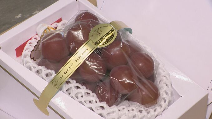 高級ブドウのルビーロマン 2年ぶりに最高級グレード「プレミアム」の認定受け初競りの値段は|TBS NEWS DIG