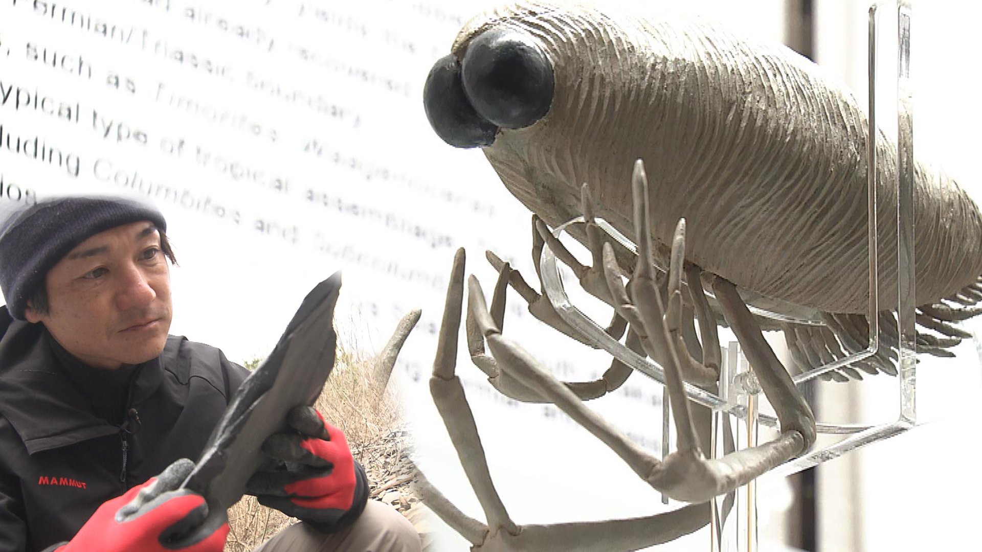 img_249320714592c0ea334b6633ca