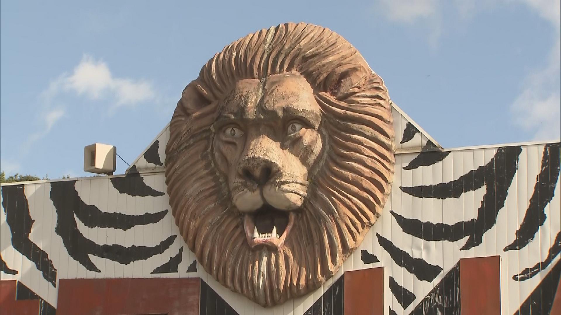 ライオンは悪くない…」飼育員襲われ死亡 東北サファリパーク営業再開