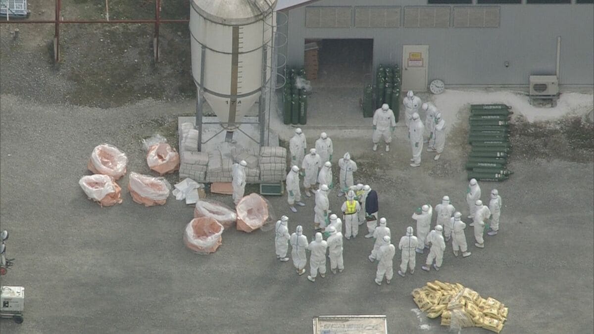 今シーズン全国初【鳥インフルエンザ】養鶏場のニワトリ約45万羽の殺