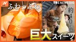 ふわっふわな巨大パンケーキに、高さ約40cmの巨大かき氷!シェアしてお得!巨大スイーツ|TBS NEWS DIG