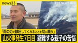 「迷惑をかけるのではと不安」大船渡・山火事の長期化で避難する親子の苦悩 「雨の力で鎮圧を」5日からの雨予報に住民からは期待の声【news23】|TBS NEWS DIG