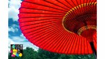 次の起業トレンドは「日本の“埋もれた文化”」?日本食や大工…世界が注目した「豊かさの先」の価値|TBS NEWS DIG
