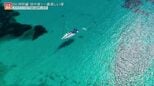 絶景の島々とナゾの古代遺跡!リゾートアイランドにある世界遺産【世界遺産/イビサの生物多様性と文化(スペイン)】|TBS NEWS DIG