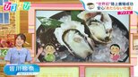 生放送で生ガキ試食!?夢の「あたらない牡蠣」世界初の完全陸上養殖に成功【ひるおび】|TBS NEWS DIG