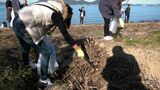 屋島の海岸をきれいにしようと高松市の廃棄物処理会社の社員と家族が「海ゴミクリーン作戦」【香川】　|　岡山・香川のニュース | 天気 | RSK山陽放送