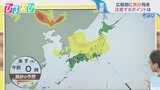 広範囲に「黄砂」飛来　雨と一緒に落ちてくる？注意すべきポイントは【ひるおび】|TBS NEWS DIG