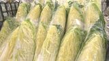 「少し安くならないと困る」夏の猛暑が秋の価格に… トマトや白菜などの高騰続く 大分 | 大分のニュース|OBS NEWS|大分放送