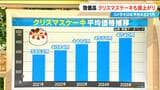 クリスマスケーキが高い ファミリーサイズは4年前から約900円アップで4740円 いちご･鶏卵などの原材料が軒並み高騰… 電気･ガス･人件費･配送コストの上昇も|TBS NEWS DIG
