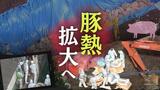 1万頭飼育の養豚場でも200頭が“陽性”「豚熱」が確認された佐賀県唐津市 | 福岡のニュース|RKB NEWS|RKB毎日放送