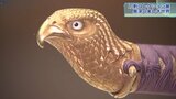充実のコレクション 花巻市博物館で刀剣の展示会 南部家の「宝」も 岩手|TBS NEWS DIG