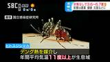 止まらぬ温暖化で信州もデング熱媒介のヤブ蚊の生息域になる可能性も コメ、リンゴ農家も迫られる変化と対応 一方で遅霜の危険度も増える現状に品種改良の現場は… | SBC NEWS | 長野のニュース | SBC信越放送