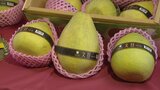 今が旬 家族で食べる定番の台湾フルーツ「文旦」 福岡市のデパートで販売 | 福岡のニュース|RKB NEWS|RKB毎日放送