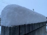 大雪情報 今後は冬型が緩む予報に しかしきょうは各地で大雪か 東北で50センチ、関東甲信で40センチなど各地で雪 気象庁 | 山形のニュース│TUYテレビユー山形