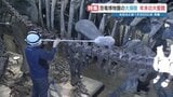 「これが恐竜の目線か」博物館の大掃除に密着　骨格標本もスッキリ？　熊本県・御船町恐竜博物館　|　熊本のニュース｜RKK NEWS｜RKK熊本放送