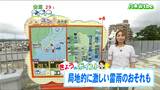 「台風周辺からの湿った空気の影響で、局地的に雨脚が強まり、雷雨のおそれがあります」宮城の30秒天気 tbc気象台 14日|TBS NEWS DIG