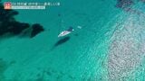 絶景の島々とナゾの古代遺跡!リゾートアイランドにある世界遺産【世界遺産/イビサの生物多様性と文化(スペイン)】|TBS NEWS DIG