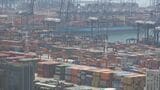 中国 8月の対米輸出33.1%減 世界全体への輸出は4.3%増|TBS NEWS DIG