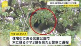 住宅街の児童公園に親子とみられるクマ2頭 市と猟友会が追い払い試みるも… 岩手・盛岡市|TBS NEWS DIG