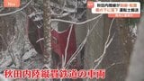 秋田内陸縦貫鉄道の車両が脱線・転覆 橋の下に落下 事故原因は現時点で“倒木に衝突か”|TBS NEWS DIG