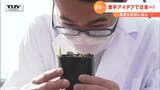 「隠れた“芋煮”需要」に着目 高校生たちが考えた“超”促成栽培の里芋に尾木ママも感心! | 山形のニュース│TUYテレビユー山形