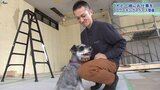 犬と一緒に利用できる「コワーキングスペース」　盛岡の官庁街に10月オープン　|　IBC NEWS | IBC岩手放送