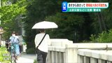 14日から15日にかけて“警報級大雨”の可能性も 土砂災害などに注意・警戒を 新潟県内|TBS NEWS DIG