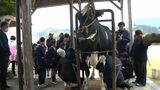 小学生が牛の乳しぼり体験「ぷにぷにしているかと思ったら硬かった」 かごしま南北600キロ | 鹿児島のニュース|MBC NEWS|南日本放送