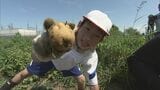 「お母さんと一緒に肉じゃがにして食べたい」小学生がジャガイモ収穫 福島・会津若松市 | 福島のニュース│TUF