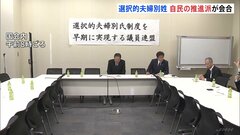 選択的夫婦別姓 「子どもの姓めぐる検討方針」を確認　自民党の推進派が会合| TBS CROSS DIG with Bloomberg