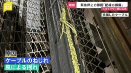 スカイツリーのエレベーター“閉じ込め”原因は「内部配線の損傷」&nbsp;安全確認し26日からは営業再開【news23】|TBS NEWS DIG