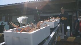 輪島港で地震後初の本格操業 石川県沿岸の“ズワイガニ”初水揚げ|TBS NEWS DIG