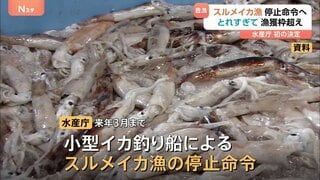 “異例の豊漁”のスルメイカ漁に停止命令へ 約半年で来年3月までの漁獲可能量を超える 水産庁| TBS CROSS DIG with Bloomberg