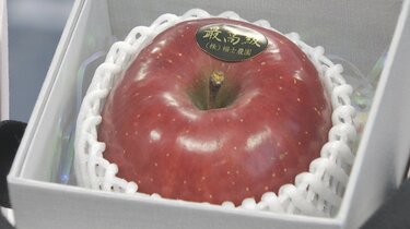 限定1個のリンゴを100万円で販売 古坂大魔王さんプロデュースの最高