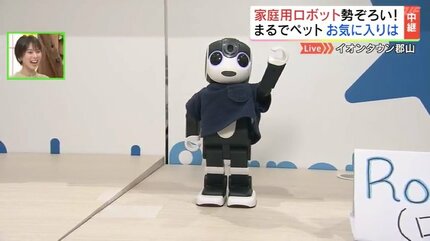 赤ちゃんみたい！」かわいい、賢いロボット勢ぞろい 自分にぴったりの1