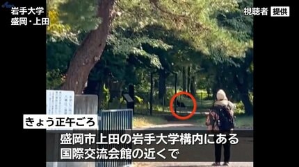 岩手大学の構内で学生がクマ目撃 28日午後の講義は全学部で臨時休講に