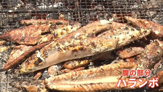 今が旬！初カツオが安い 「去年より200～300円くらい安く提供できている」 燃料高騰で打撃も…豊漁の高知では大行列！ 地元で人気の「ハランボ」とは|TBS NEWS DIG