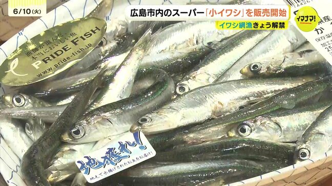 “広島の夏の味覚”　小イワシ漁解禁でスーパーでも販売開始　去年を上回る豊漁で品質も“良”　完売した店も　広島|TBS NEWS DIG