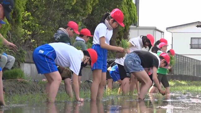 「農業に興味持って」 小学生が学校近くの水田でもち米を田植え 岩手・奥州市|TBS NEWS DIG