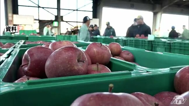 2025年産のリンゴの青森県内の在庫　2025年12月末時点で15万トン台に　統計をとりはじめてから過去最少|TBS NEWS DIG