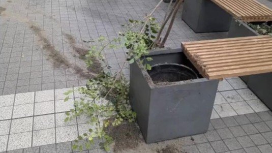 アーケードの憩いの場で植栽が折られる　管理組合は警察へ被害届を提出の方針　熊本|TBS NEWS DIG
