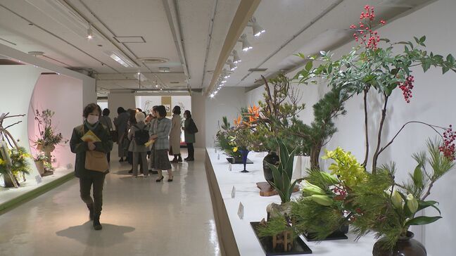被災地からの作品など161点並ぶ 第50回 北國花展「伝統と現代」|TBS NEWS DIG