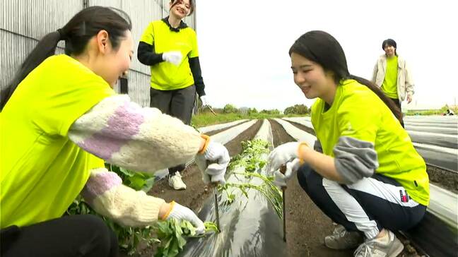 飛行機内で販売も　耕作放棄地から焼酎を　枕崎市と3企業が取り組み　鹿児島|TBS NEWS DIG