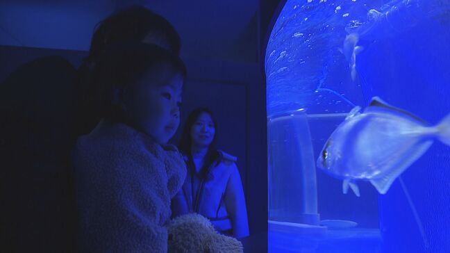 “ジーベンロックナガクビガメ”がくす玉割りにチャレンジ！アルパーク東棟にシン・マリホ水族館がオープン|TBS NEWS DIG